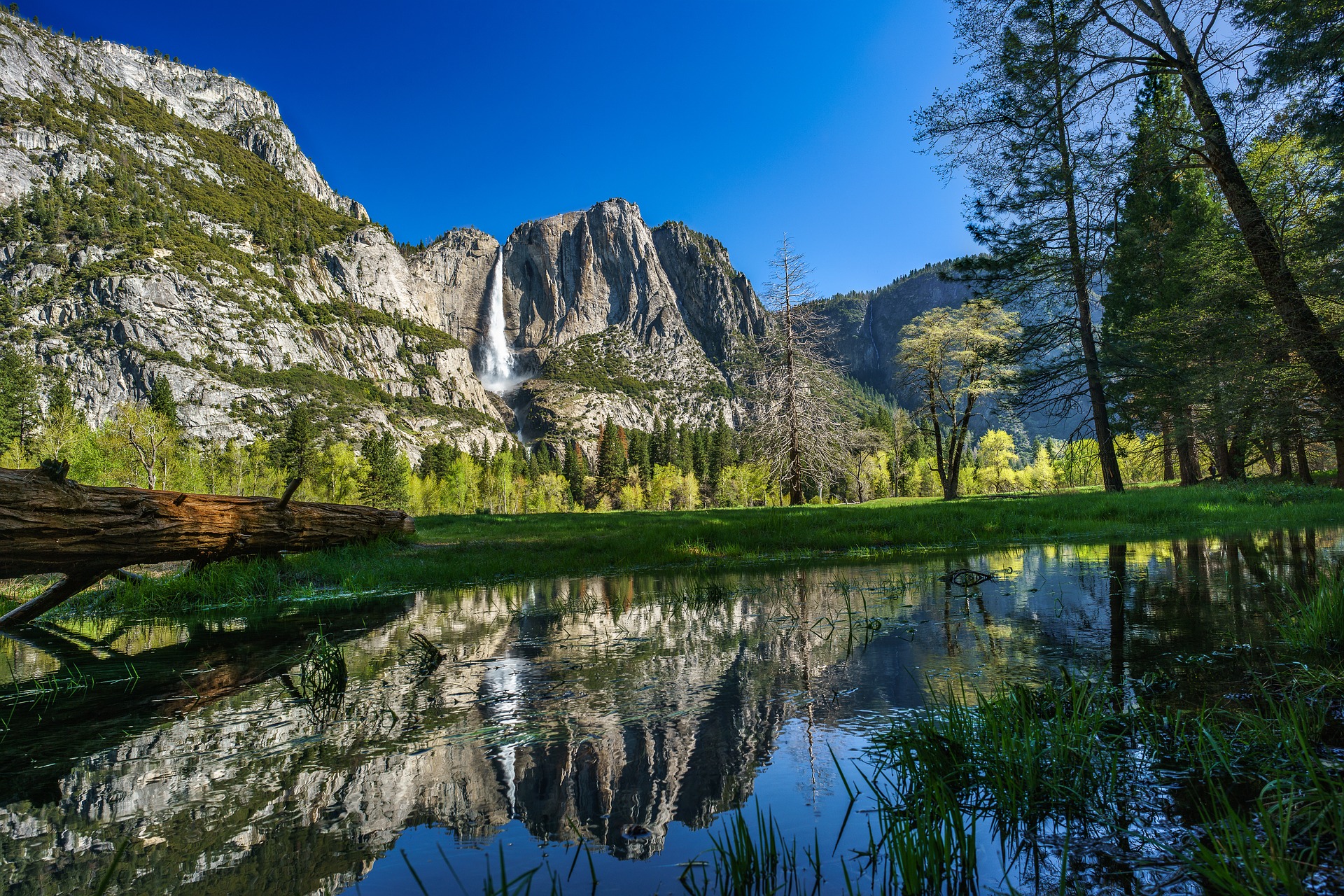 4 Home Main – Yosemite National Park