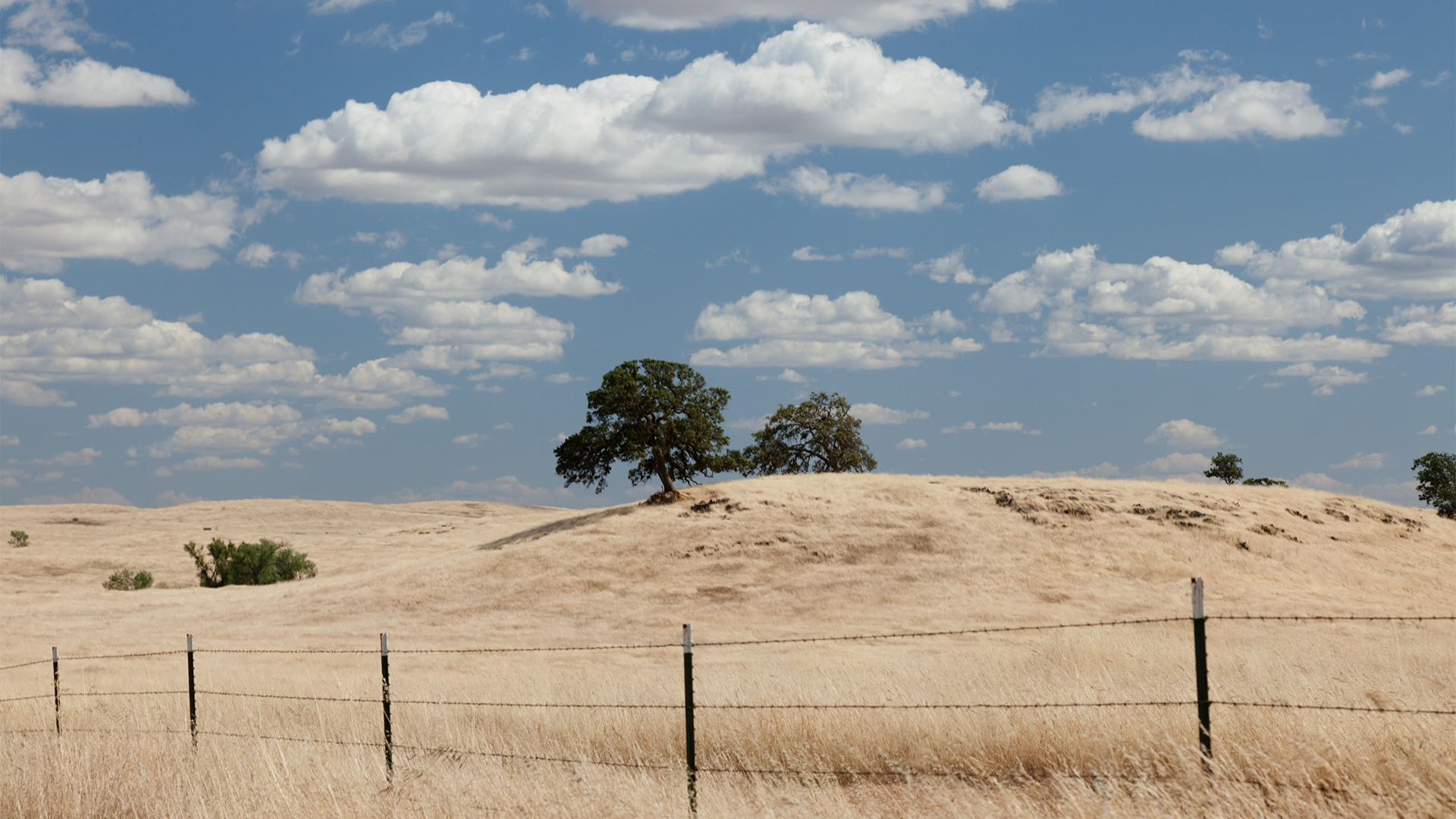 3 Home Main – Mariposa Foothills